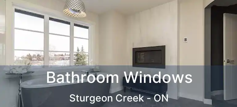  Bathroom Windows Sturgeon Creek - ON
