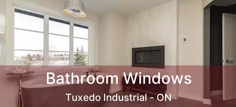  Bathroom Windows Tuxedo Industrial - ON