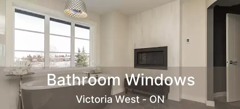  Bathroom Windows Victoria West - ON