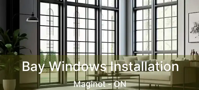 Bay Windows Installation Maginot - ON