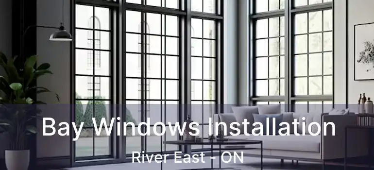 Bay Windows Installation River East - ON