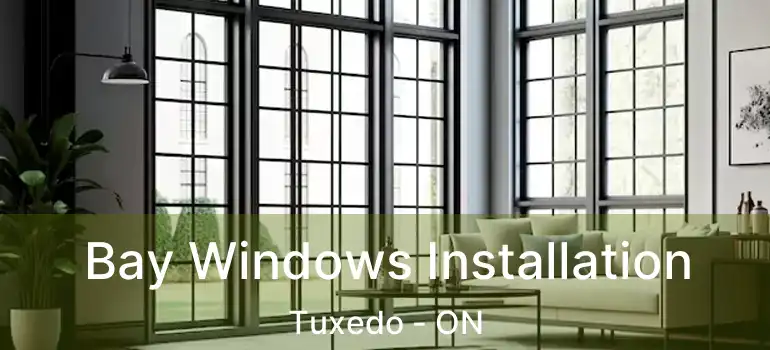  Bay Windows Installation Tuxedo - ON