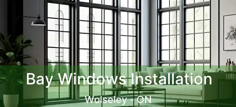  Bay Windows Installation Wolseley - ON