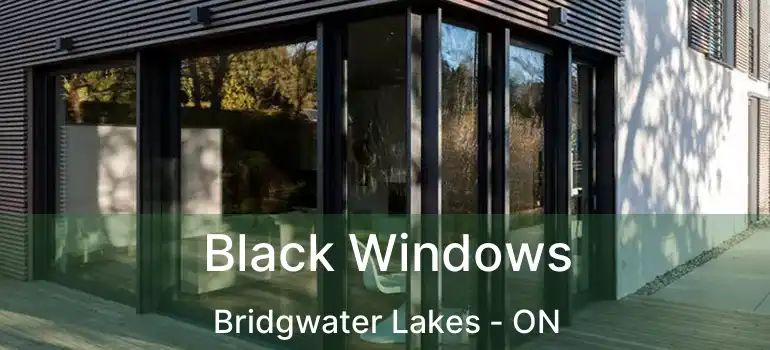  Black Windows Bridgwater Lakes - ON