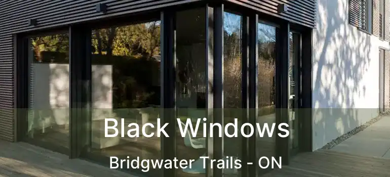  Black Windows Bridgwater Trails - ON