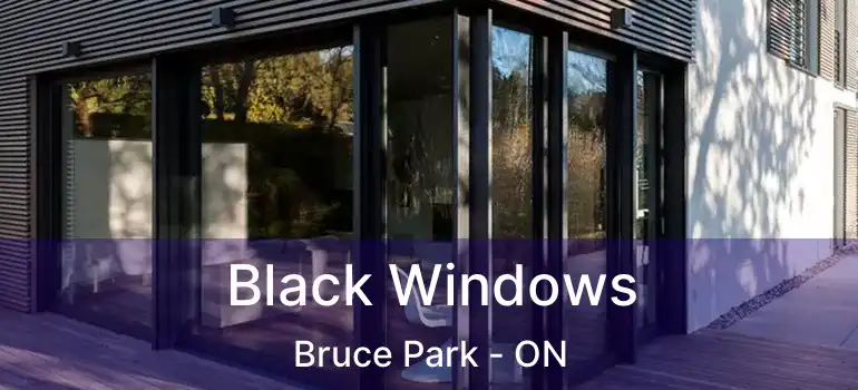  Black Windows Bruce Park - ON