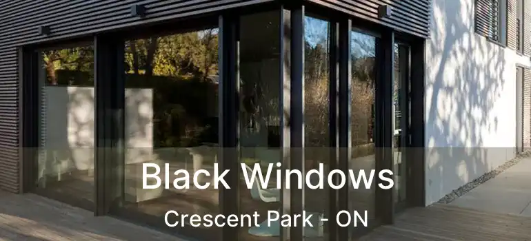  Black Windows Crescent Park - ON