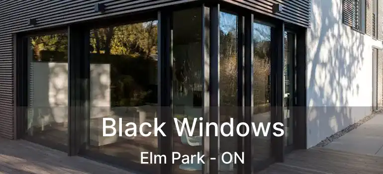  Black Windows Elm Park - ON