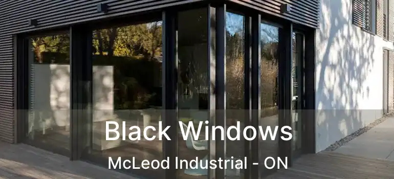  Black Windows McLeod Industrial - ON