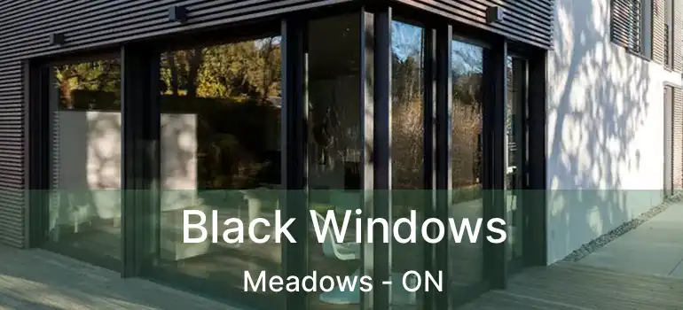  Black Windows Meadows - ON