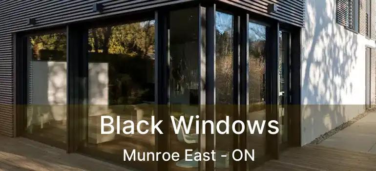  Black Windows Munroe East - ON