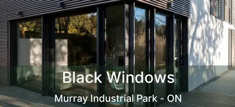  Black Windows Murray Industrial Park - ON