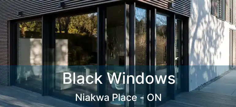 Black Windows Niakwa Place - ON