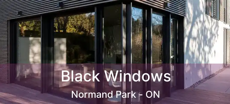  Black Windows Normand Park - ON