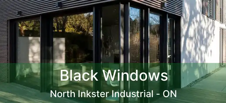  Black Windows North Inkster Industrial - ON