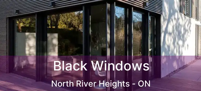  Black Windows North River Heights - ON