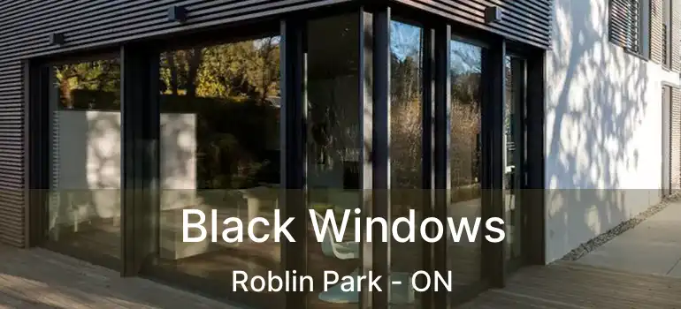  Black Windows Roblin Park - ON