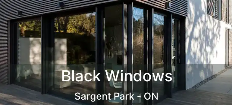  Black Windows Sargent Park - ON