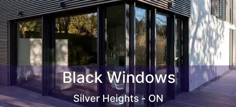  Black Windows Silver Heights - ON