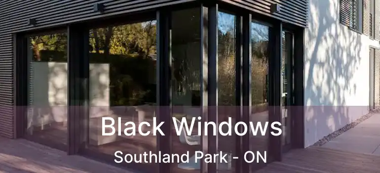  Black Windows Southland Park - ON