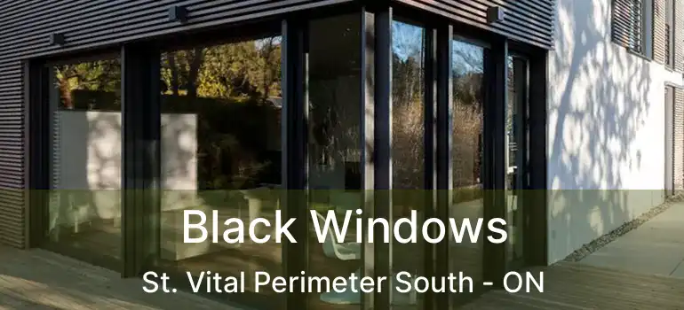  Black Windows St. Vital Perimeter South - ON