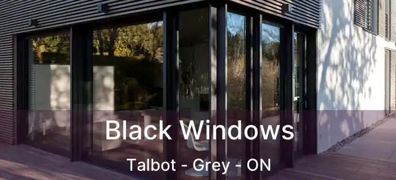  Black Windows Talbot - Grey - ON