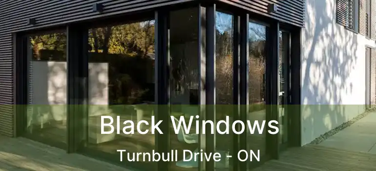  Black Windows Turnbull Drive - ON