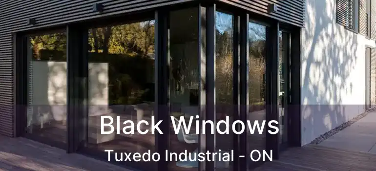  Black Windows Tuxedo Industrial - ON