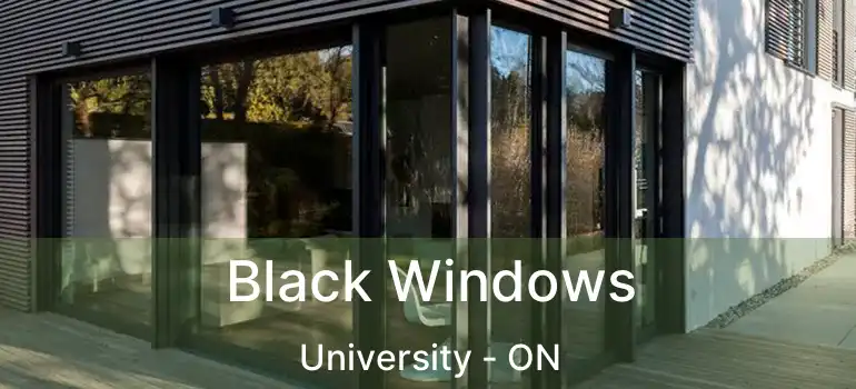  Black Windows University - ON