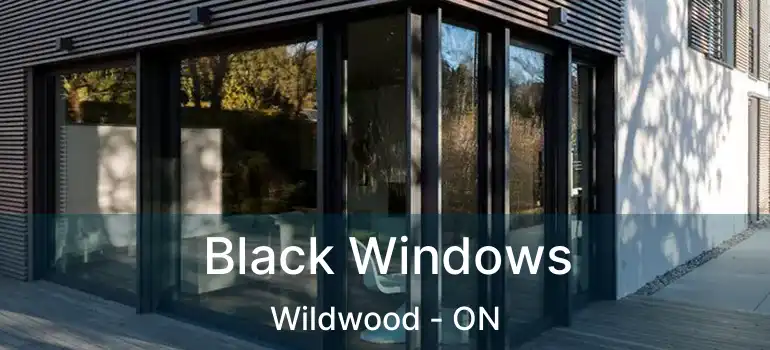  Black Windows Wildwood - ON