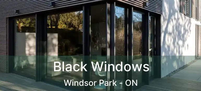  Black Windows Windsor Park - ON