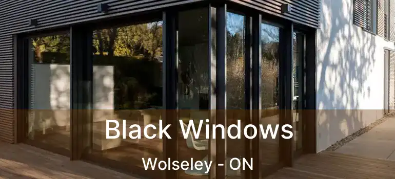  Black Windows Wolseley - ON