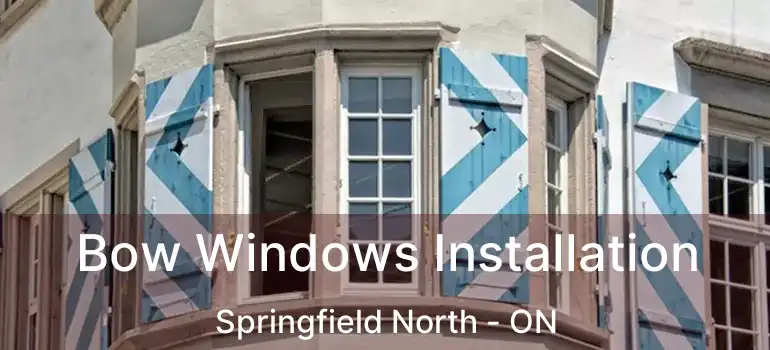  Bow Windows Installation Springfield North - ON