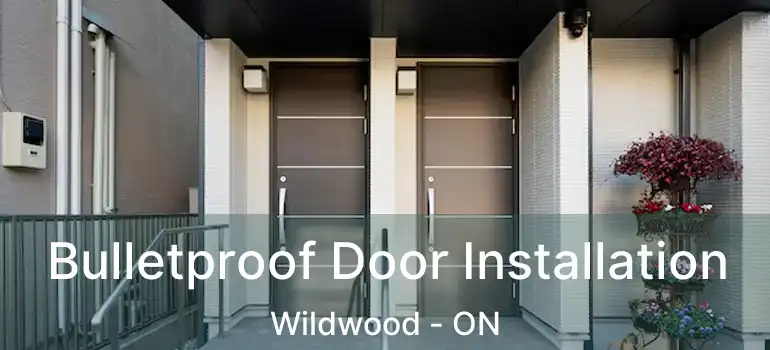  Bulletproof Door Installation Wildwood - ON