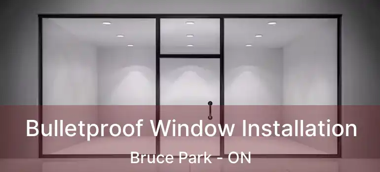  Bulletproof Window Installation Bruce Park - ON
