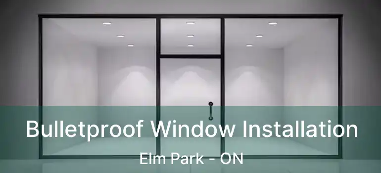  Bulletproof Window Installation Elm Park - ON