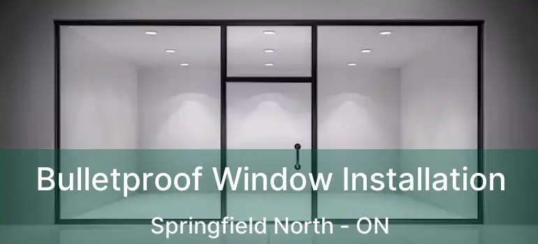 Bulletproof Window Installation Springfield North - ON
