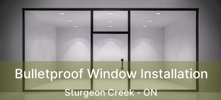  Bulletproof Window Installation Sturgeon Creek - ON