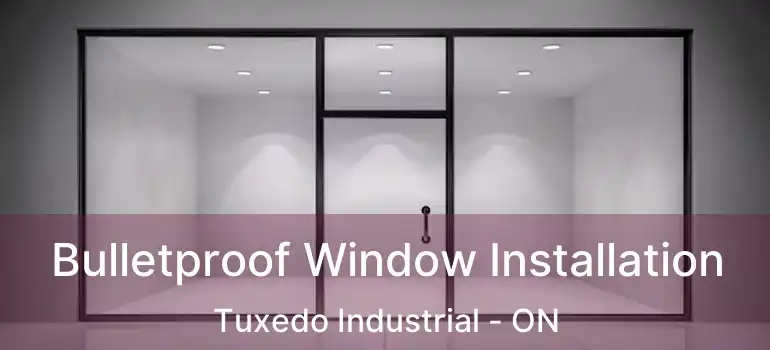  Bulletproof Window Installation Tuxedo Industrial - ON