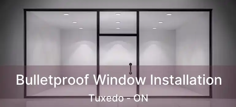  Bulletproof Window Installation Tuxedo - ON