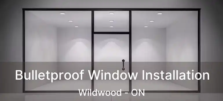  Bulletproof Window Installation Wildwood - ON