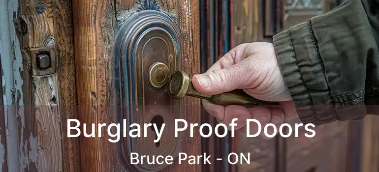  Burglary Proof Doors Bruce Park - ON
