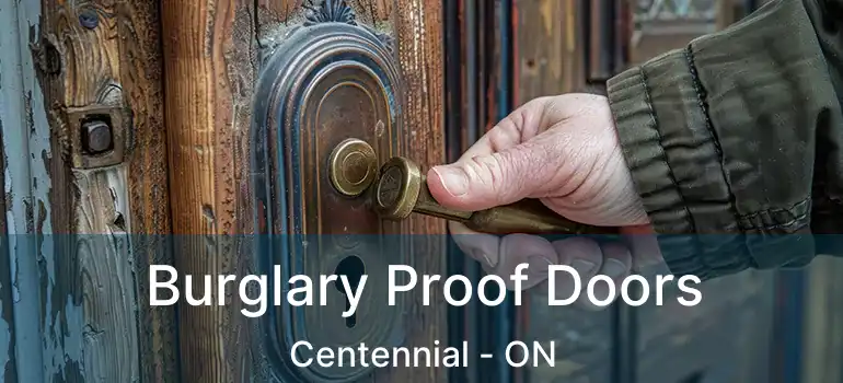  Burglary Proof Doors Centennial - ON