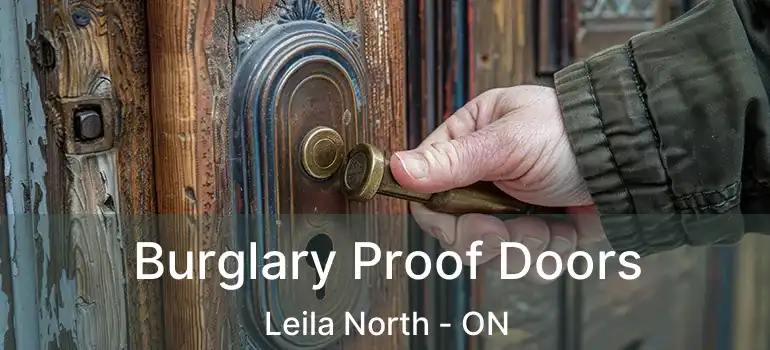  Burglary Proof Doors Leila North - ON
