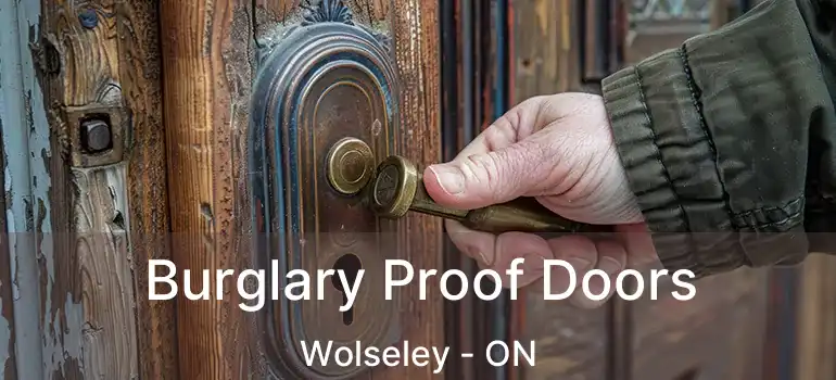  Burglary Proof Doors Wolseley - ON