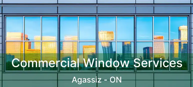  Commercial Window Services Agassiz - ON