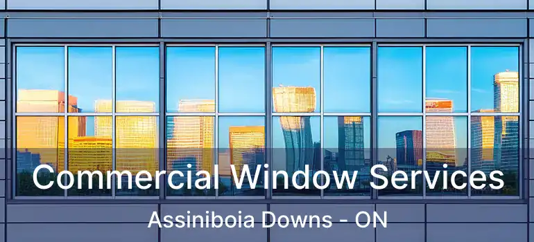  Commercial Window Services Assiniboia Downs - ON