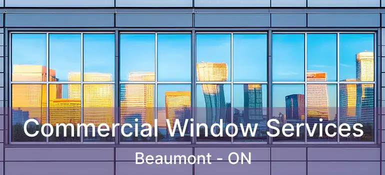  Commercial Window Services Beaumont - ON