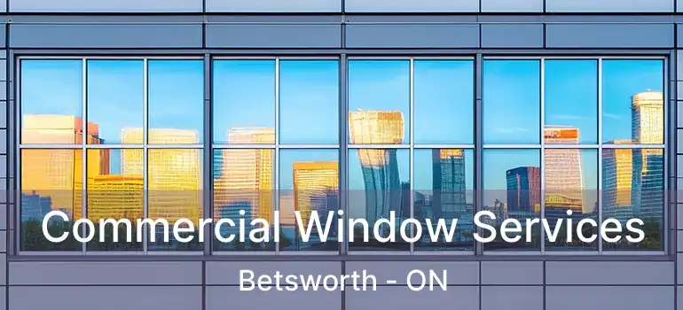  Commercial Window Services Betsworth - ON
