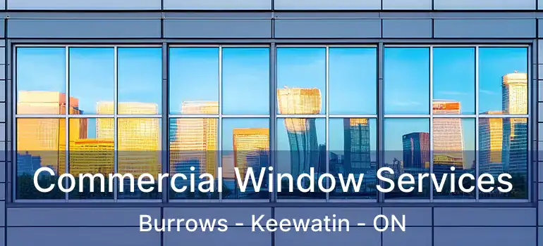  Commercial Window Services Burrows - Keewatin - ON